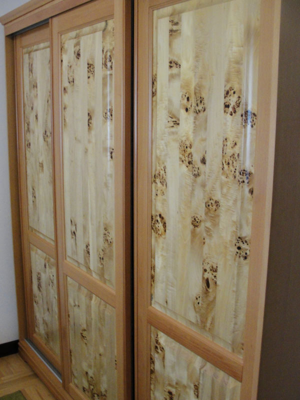 ormar crna topola O-1 CT