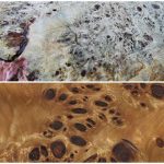 crna topola jagnjed mazer