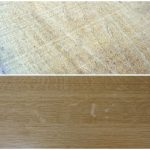 hrast lužnjak quercus robur