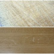 hrast lužnjak quercus robur